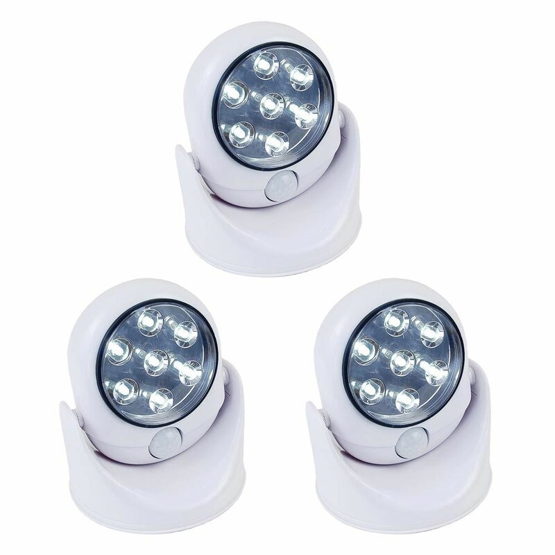 Novelty Lights Aurora 1.5-Watt LED Battery Operated Outdoor Security